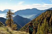 21 Usciti dall'abetaia attraversiamo un rado lariceto colorato d'autunno